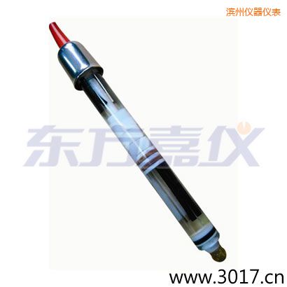濱州玻璃外殼,無溫補(bǔ)雙鹽橋電極