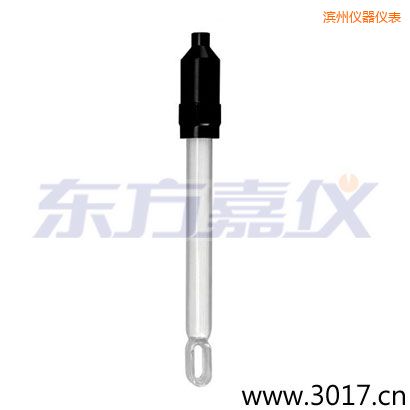 濱州無溫補兩線電導率電極