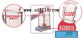 �|����M(j��n)����ƽ,810g,0.01g