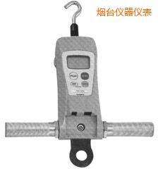 煙臺高荷重型 FGC-HB/FGN-HB 系列數顯推拉力計