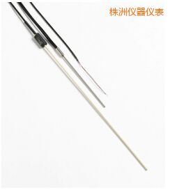 株洲R 型和 S 型標(biāo)準熱電偶